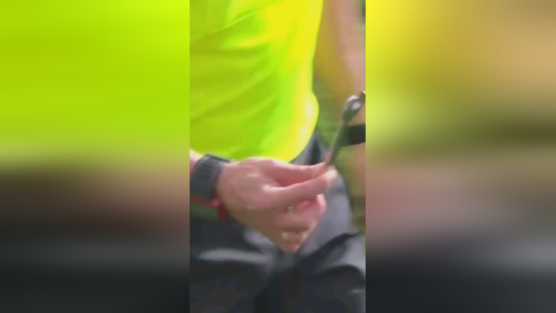 中点